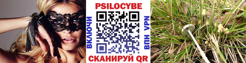 Псилоцибиновые грибы GOLDEN TEACHER  наркотики  Орлов 